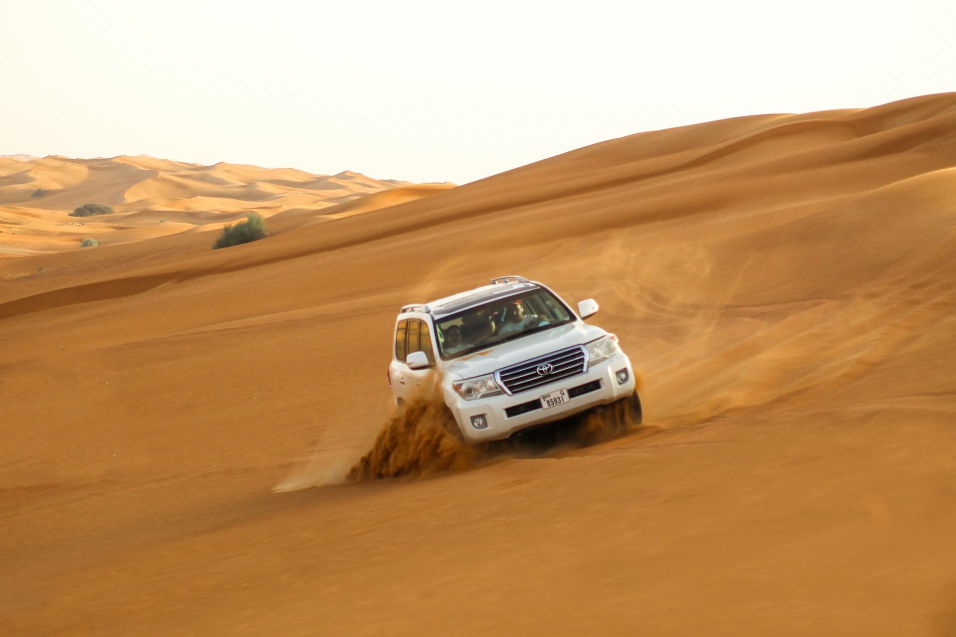  Dune Bashing 