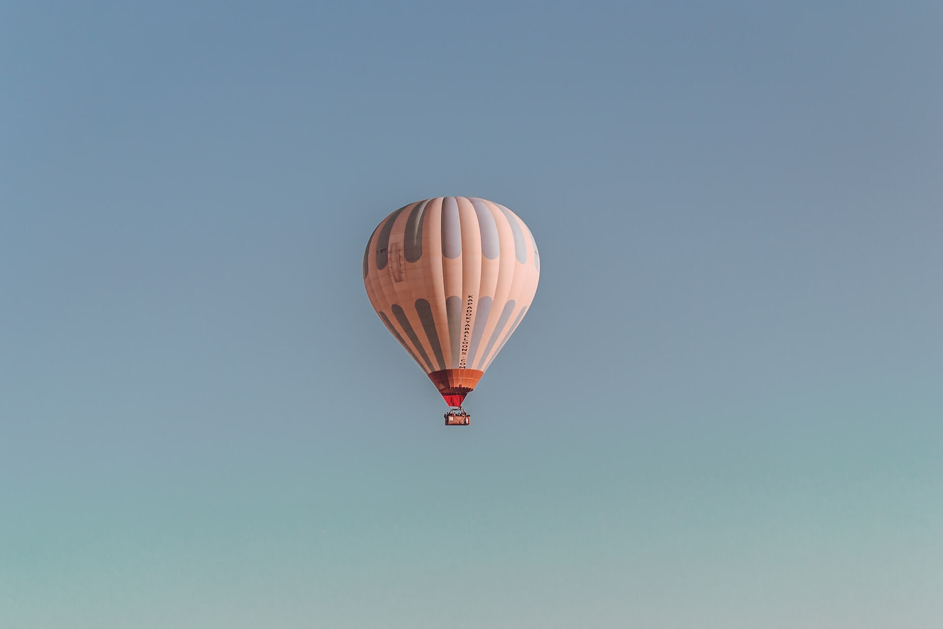 Air Balloon Safari 